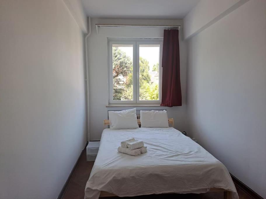 بروكسل Spacious Apartment Next To Parc Du Cinquantenaire المظهر الخارجي الصورة